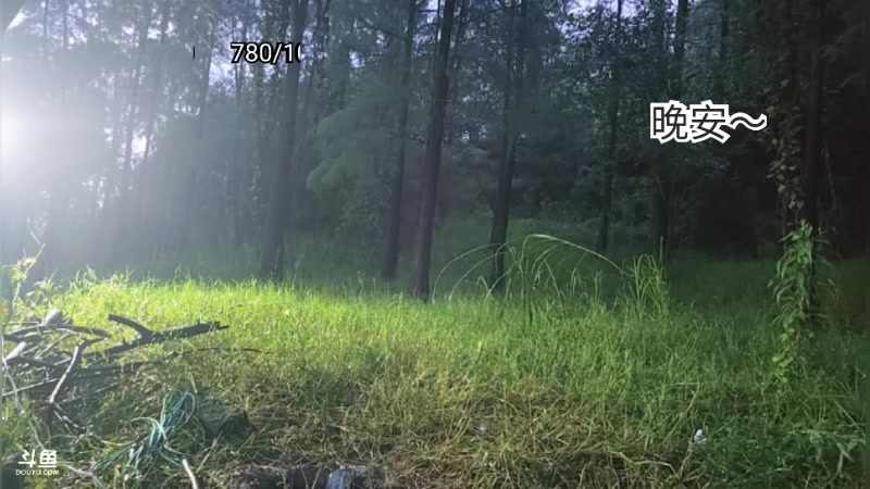 【2025-07-09 05点场】王大谋119：荒野求生之男人与狗-day2 11222