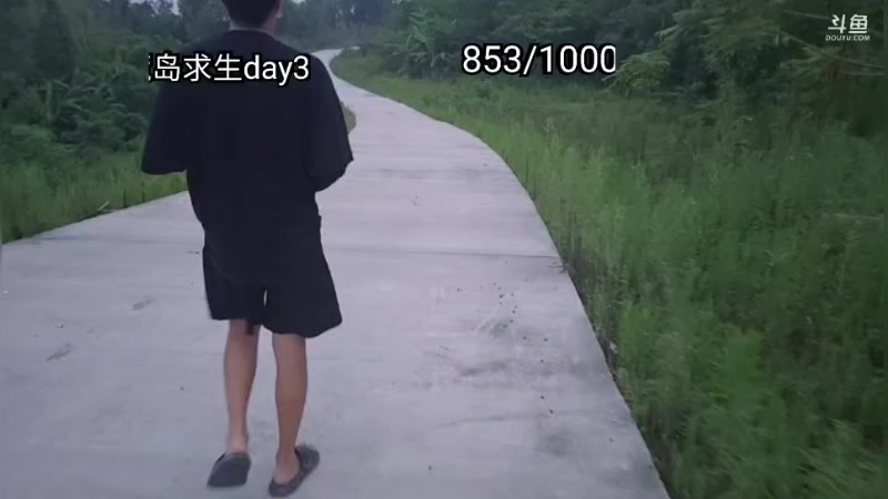 【2025-07-09 20点场】王大谋119：荒野求生之男人与狗-day2 11222