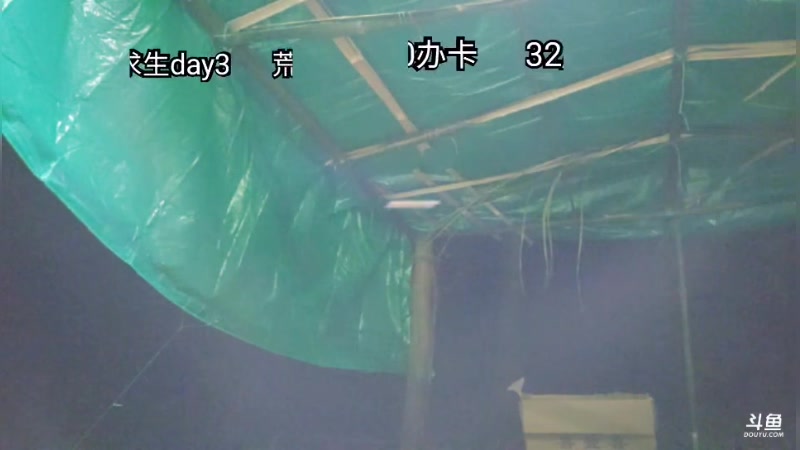 【2025-07-09 22点场】王大谋119：荒野求生之男人与狗-day2 11222