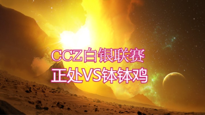 正处VS大白鲸.mkv