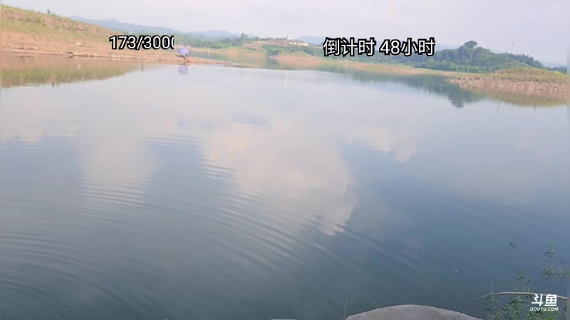 【2025-07-12 17点场】王大谋119：后天下岛！