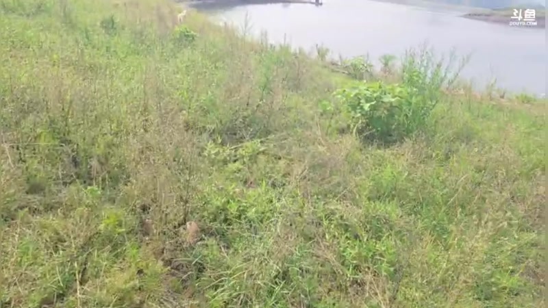 【2025-07-12 09点场】王大谋119：荒野求生之男人与狗-day6 11222