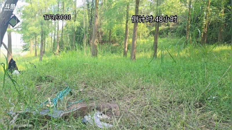 【2025-07-12 15点场】王大谋119：后天下岛！