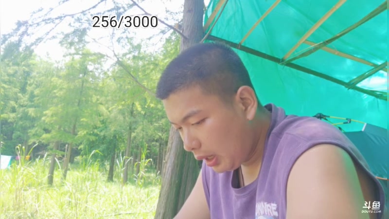 【2025-07-13 13点场】王大谋119：明天下岛！