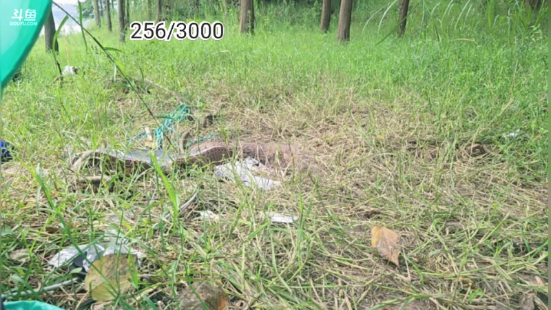 【2025-07-13 07点场】王大谋119：后天下岛！