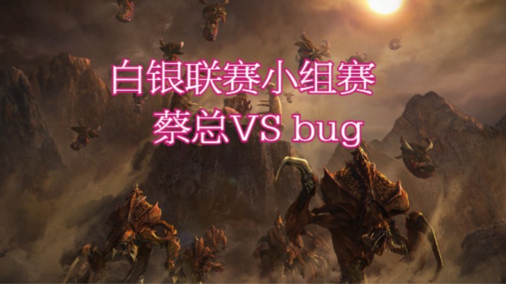 堂主VS BUG.mkv