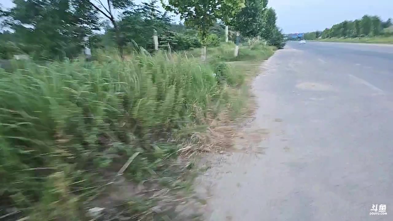 【2025-07-16 18点场】小鱼小鱼吃虾米：武汉庄园日常2158798