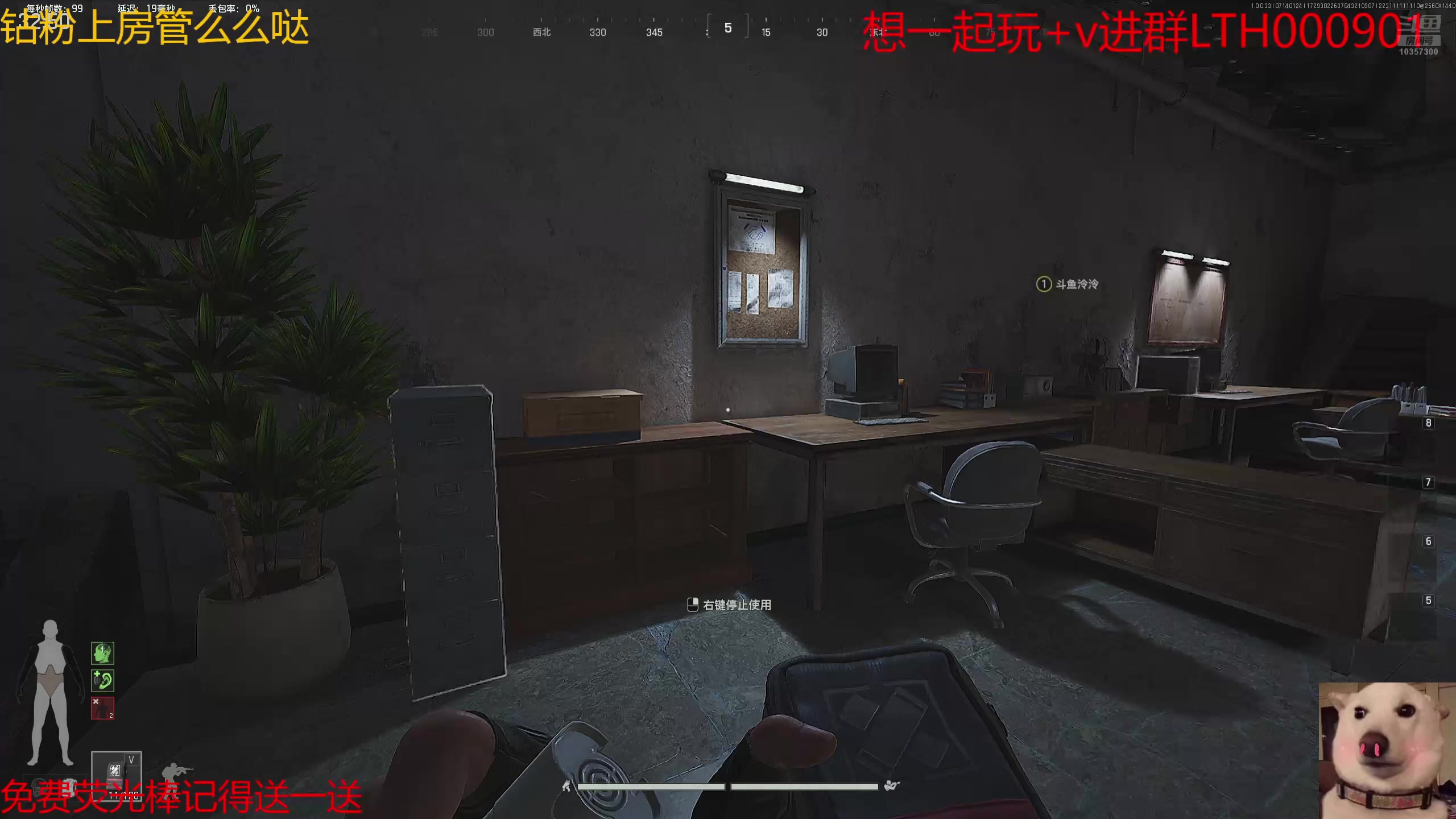 【2025-07-14 00点场】是猫咪吖丶：老鼠来咯么么哒