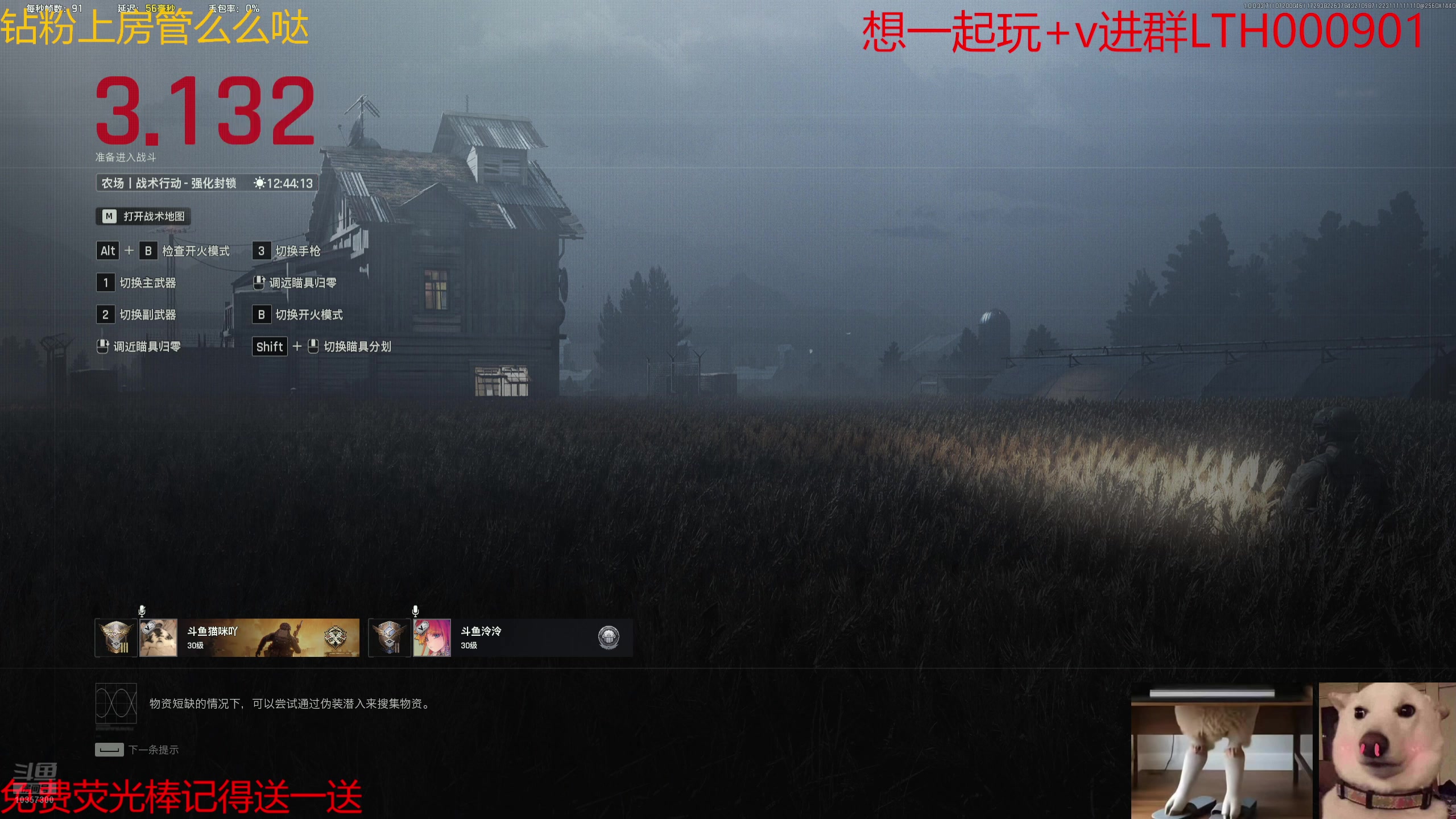 【2025-07-20 00点场】是猫咪吖丶：老鼠来咯么么哒