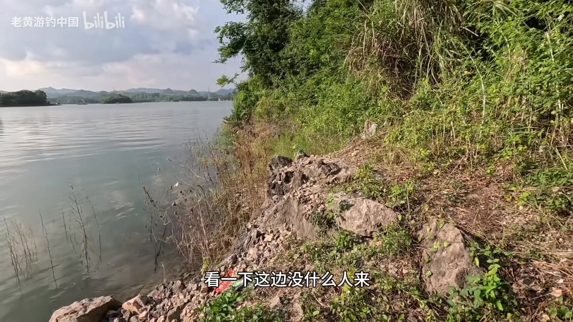 【2025-07-22 20点场】猫叔灬灬：【猫叔】21点直播精灵宝可梦za直面会~