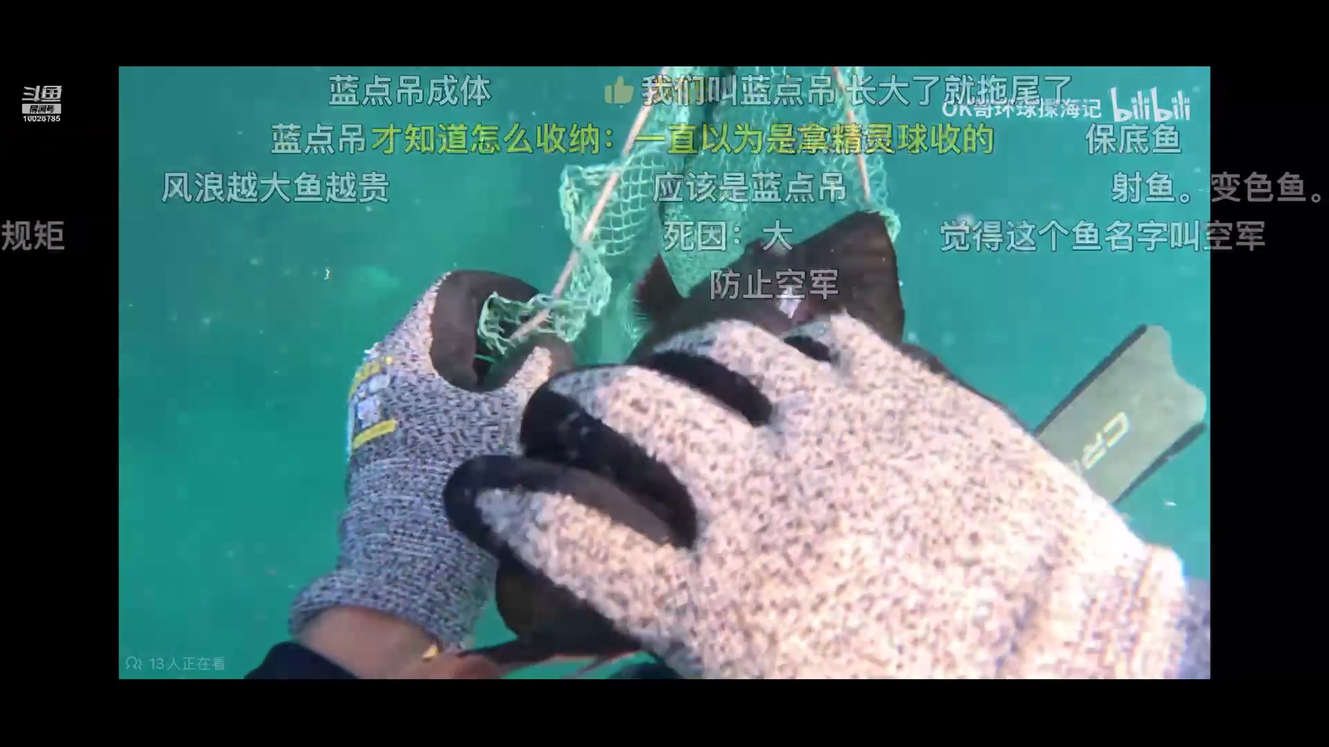 【2025-07-22 23点场】苏科大：看会视频，晚点来