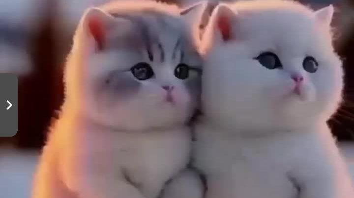 【2025-8-4 20点场】虐尸者牙牙:Q灬牙牙乐