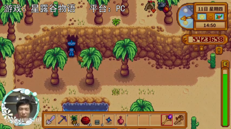 【星露谷物语】冬季跑矿！