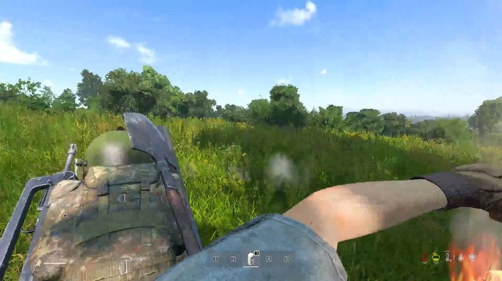 DAYZ:感谢大自然的馈赠