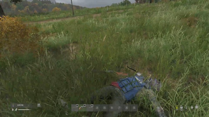 DAYZ:双杀
