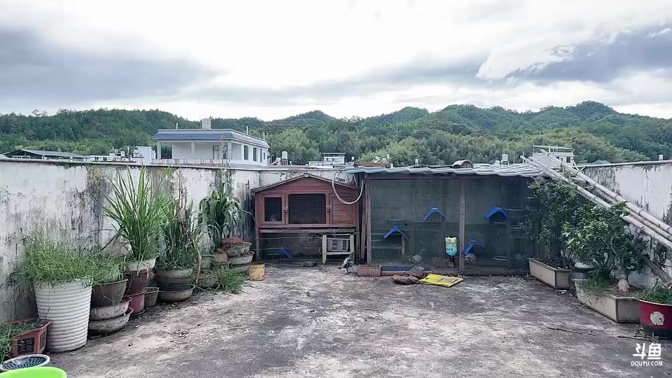 【2025-08-14 16点场】主播阿郎：厦门玩玩啦