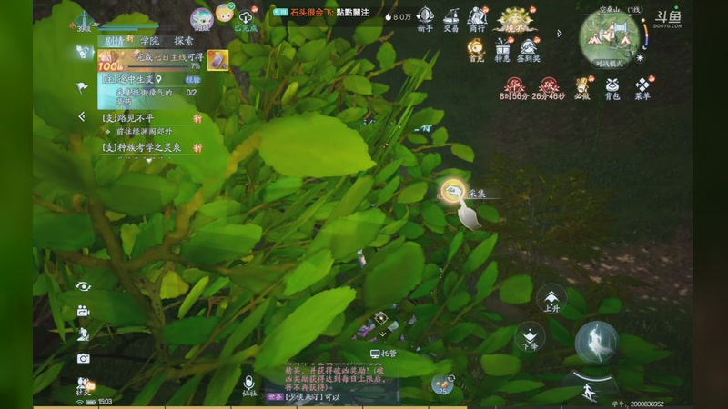 【2025-8-14 14点场】石头很会飞:浮动光光的故事到饭否嘀咕