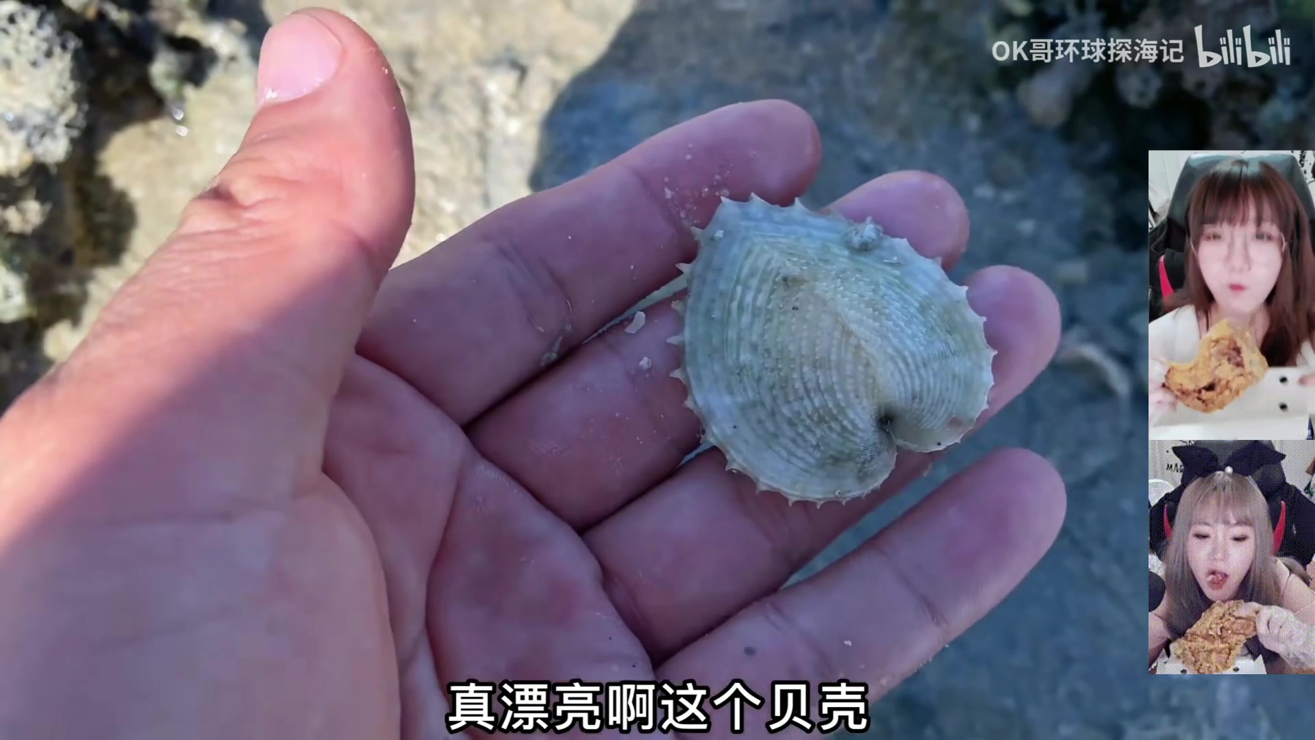 【2025-08-17 06点场】甜心战士：白天10点再见噜~