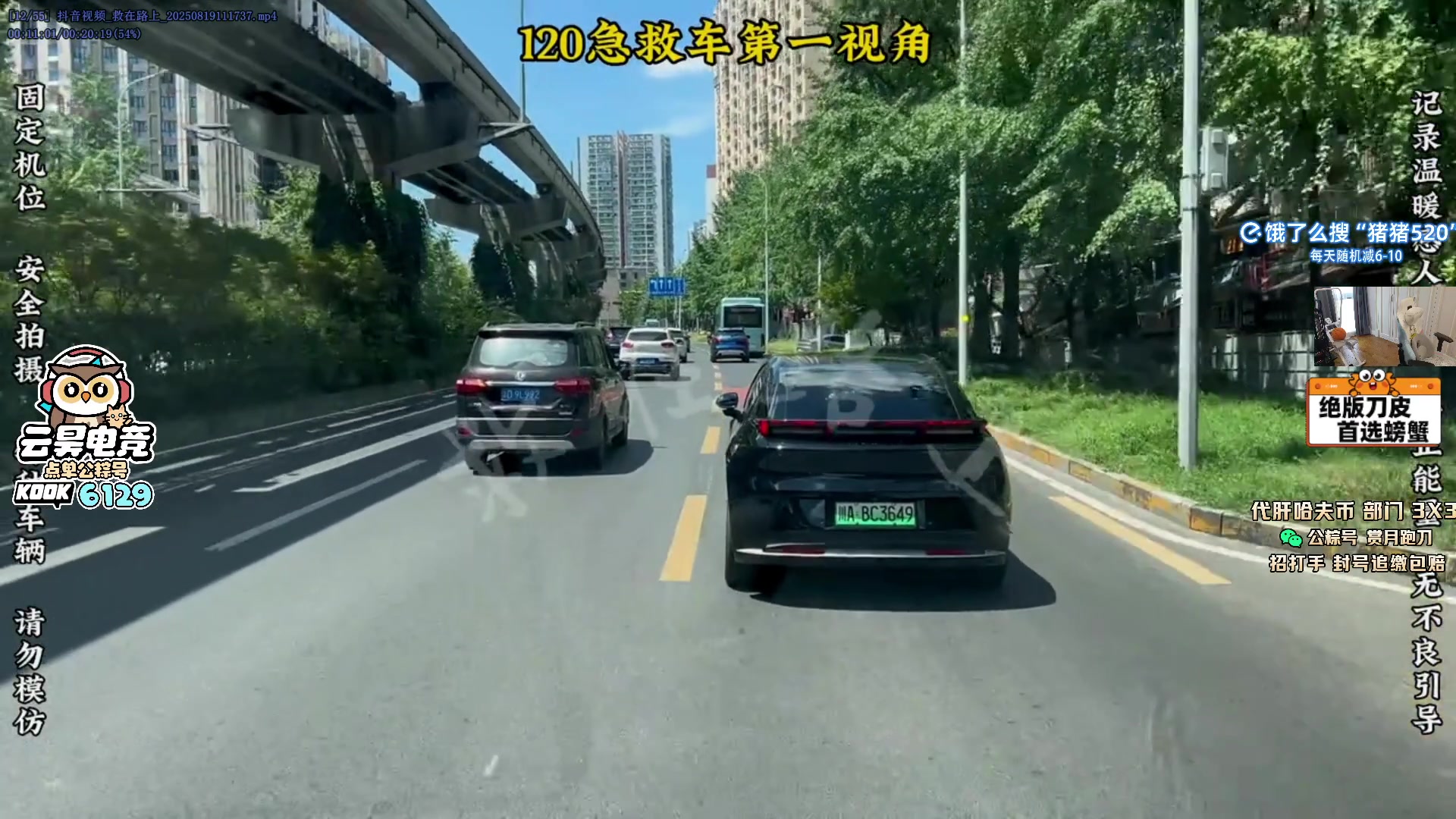 【2025-08-19 12点场】pigff：【PIGFF】没游戏播了-_-