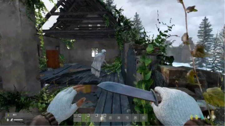 DAYZ:雪地惊魂