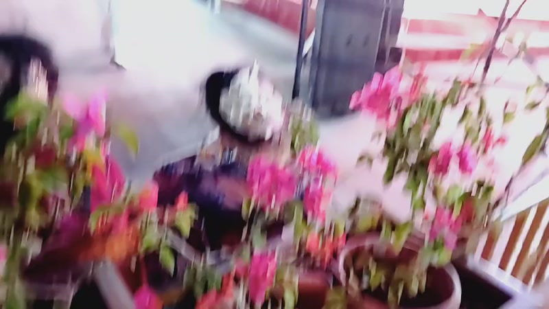 库车