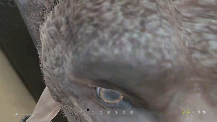 DAYZ:拳撸棕熊第一人
