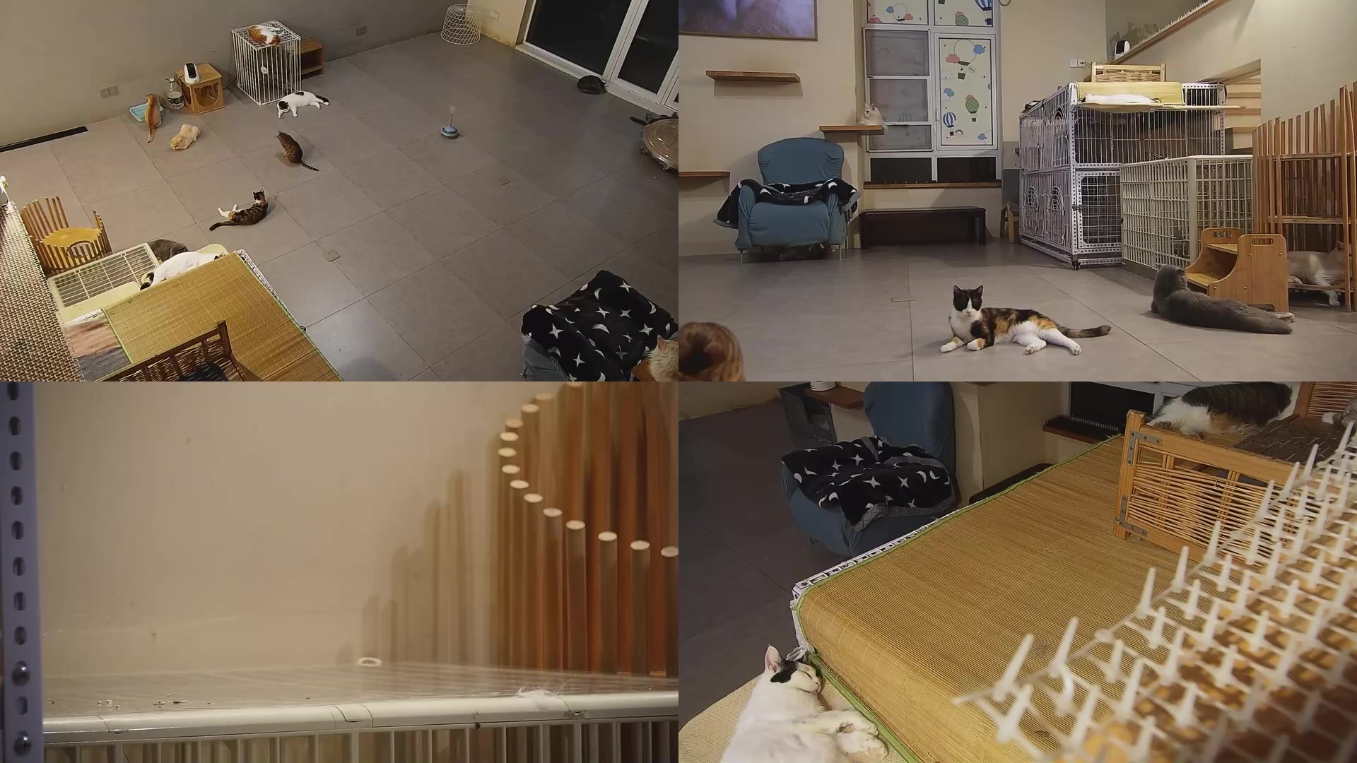 【2025-09-07 04点场】喵放送：喵放送☀️喵呜~