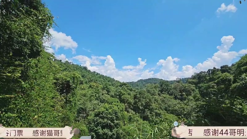 【2025-9-8 14点场】小石头徒步:版纳野象谷看大象