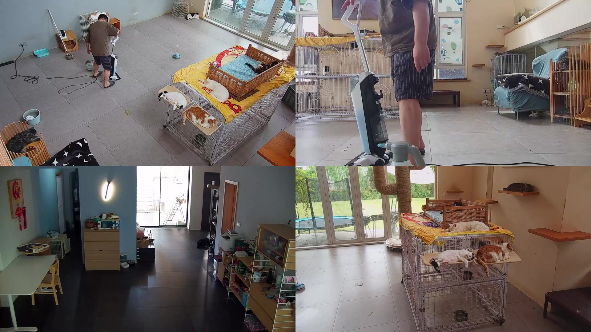 【2025-09-10 12点场】喵放送：喵放送☀️喵呜~