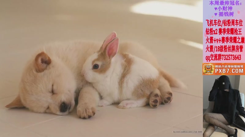 【2025-09-10 18点场】轻纱呢：♥ 今天依然山东甜妹儿