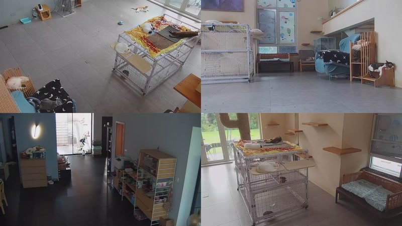 【2025-09-19 10点场】喵放送：喵放送☀️喵呜~