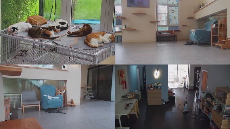 【2025-09-21 14点场】喵放送：喵放送☀️喵呜~