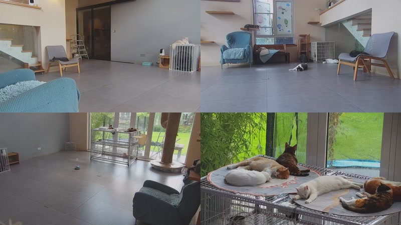 【2025-09-22 10点场】喵放送：喵放送☀️喵呜~