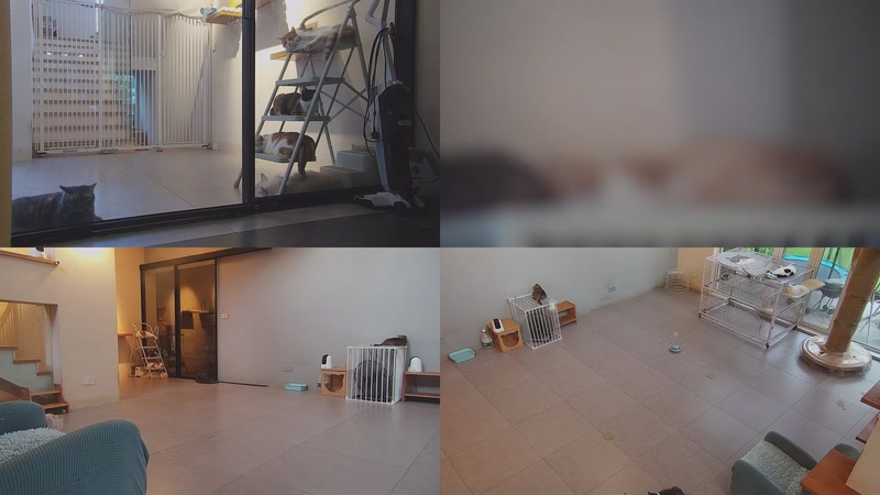 【2025-09-23 17点场】喵放送：喵放送☀️喵呜~