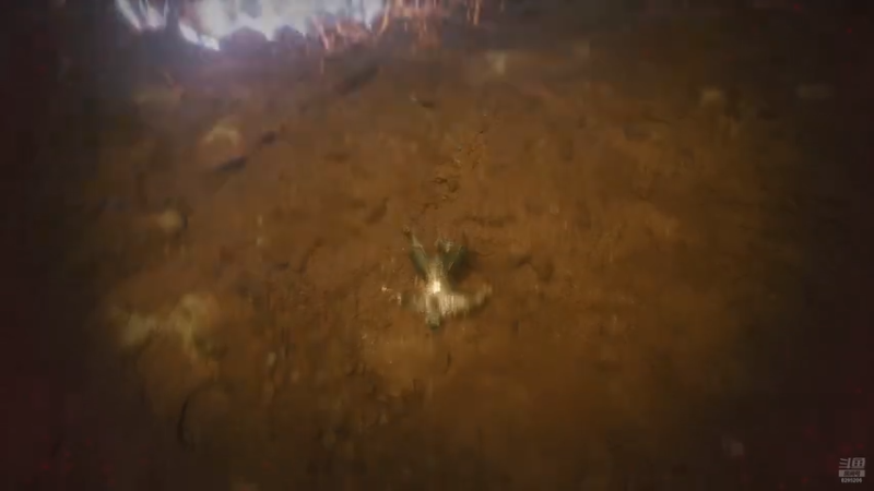 【2025-09-19 21点场】PC拜仁慕尼黑：5090D玩点什么