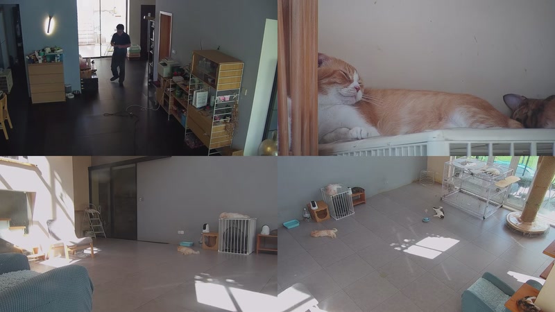 【2025-09-23 13点场】喵放送：喵放送☀️喵呜~