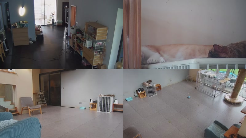 【2025-09-23 15点场】喵放送：喵放送☀️喵呜~