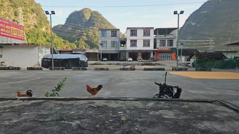 【2025-9-19 8点场】乡村阿勇:广西骑行海南.流浪生活