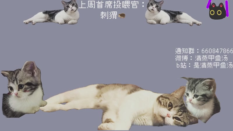 【2025-09-24 21点场】清蒸甲鱼汤：甲鱼：夜间保安，有事大声喊我