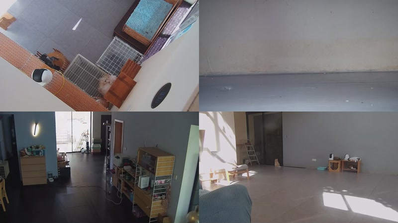 【2025-09-25 13点场】喵放送：喵放送☀️喵呜~