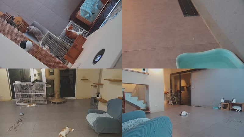 【2025-09-26 05点场】喵放送：喵放送☀️喵呜~