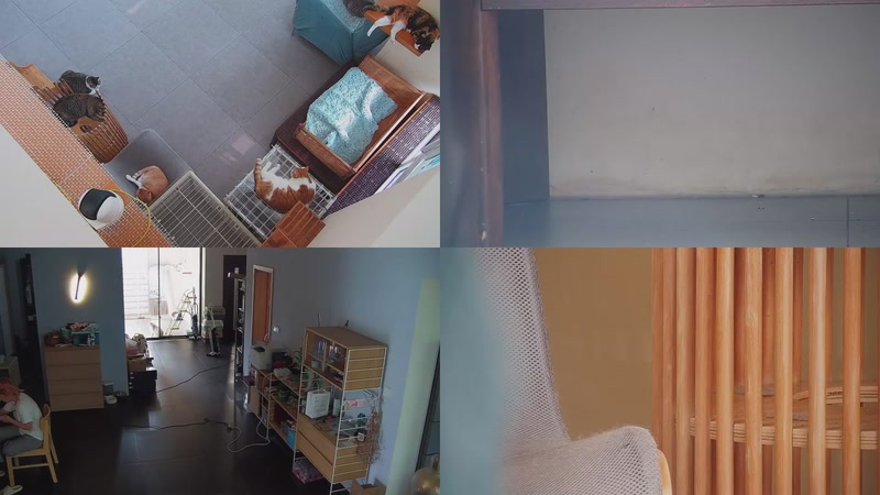 【2025-09-28 14点场】喵放送：喵放送☀️喵呜~