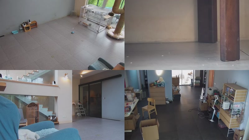 【2025-09-29 10点场】喵放送：喵放送☀️喵呜~