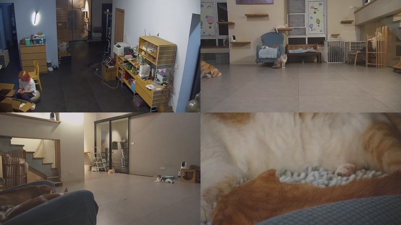 【2025-09-29 18点场】喵放送：喵放送☀️喵呜~