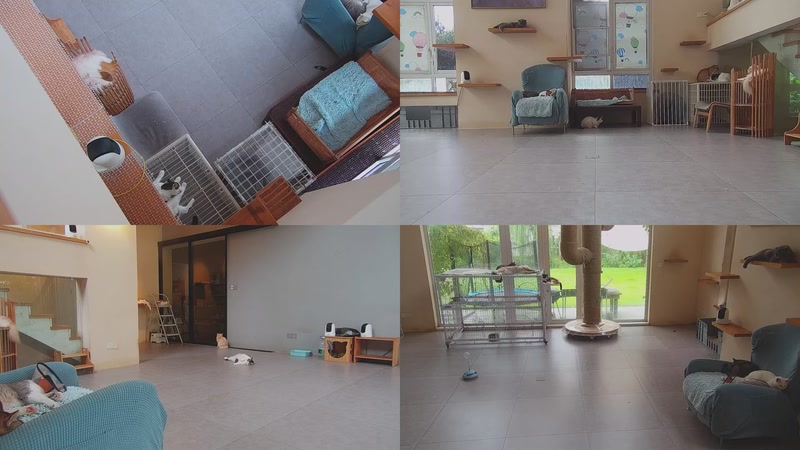 【2025-09-30 10点场】喵放送：喵放送☀️喵呜~