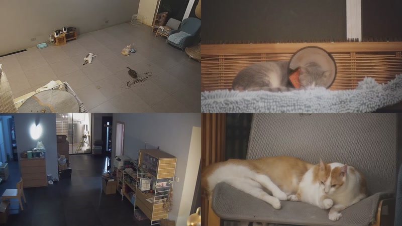 【2025-09-30 22点场】喵放送：喵放送☀️喵呜~