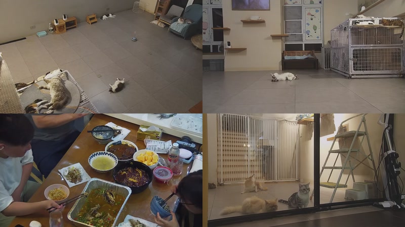 【2025-10-01 18点场】喵放送：喵放送☀️喵呜~