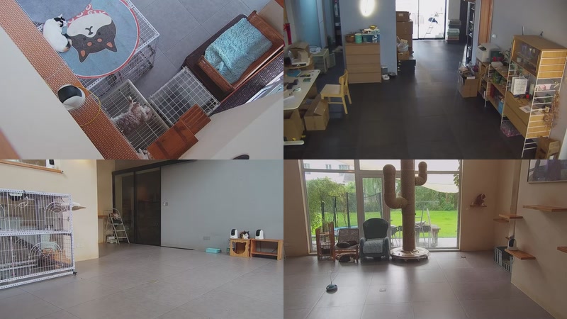 【2025-10-01 10点场】喵放送：喵放送☀️喵呜~