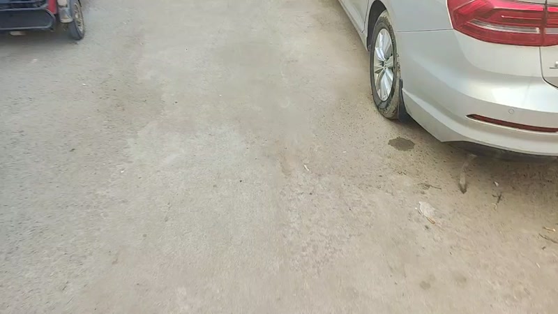 【2025-9-29 7点场】接亲1