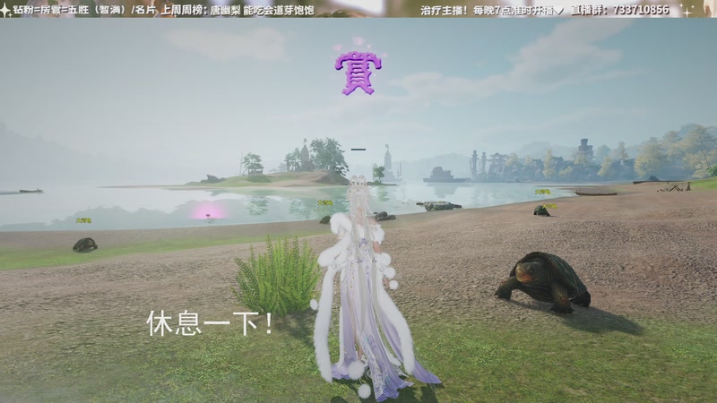 【2025-09-30 08点场】俞白维：体服奶花散排视角！！